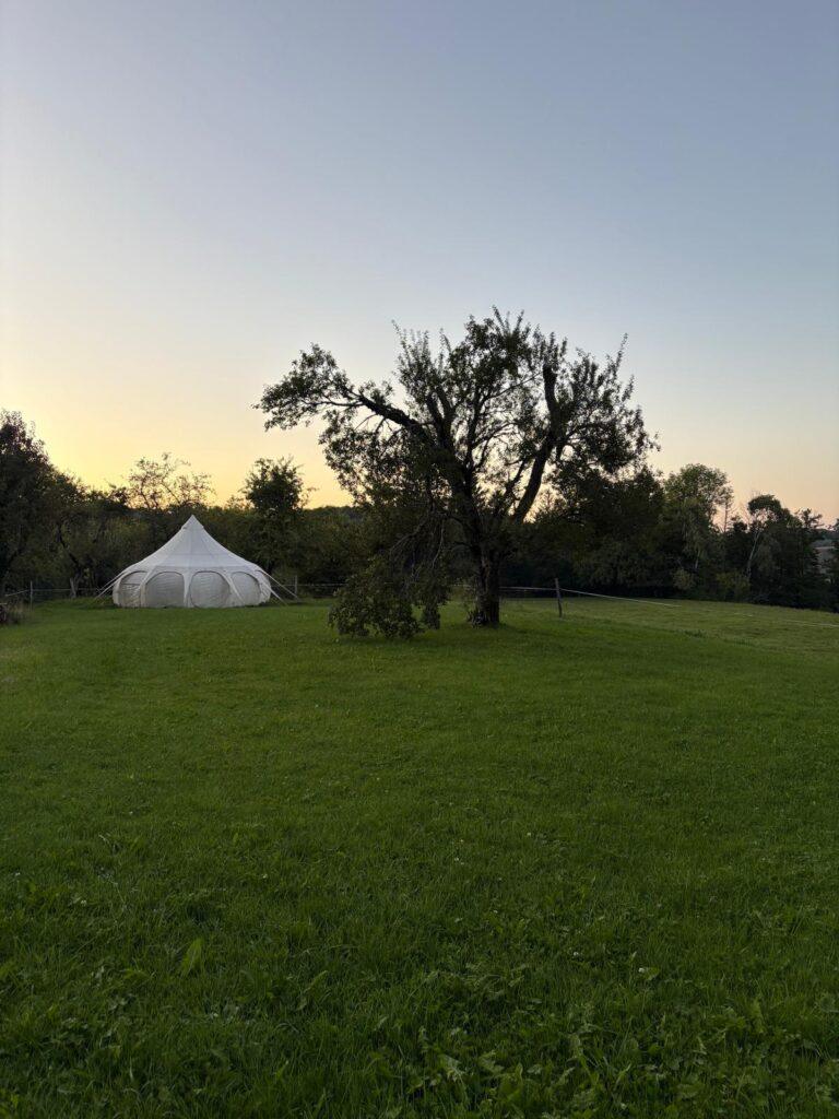 Stage Chamanisme 768x1024